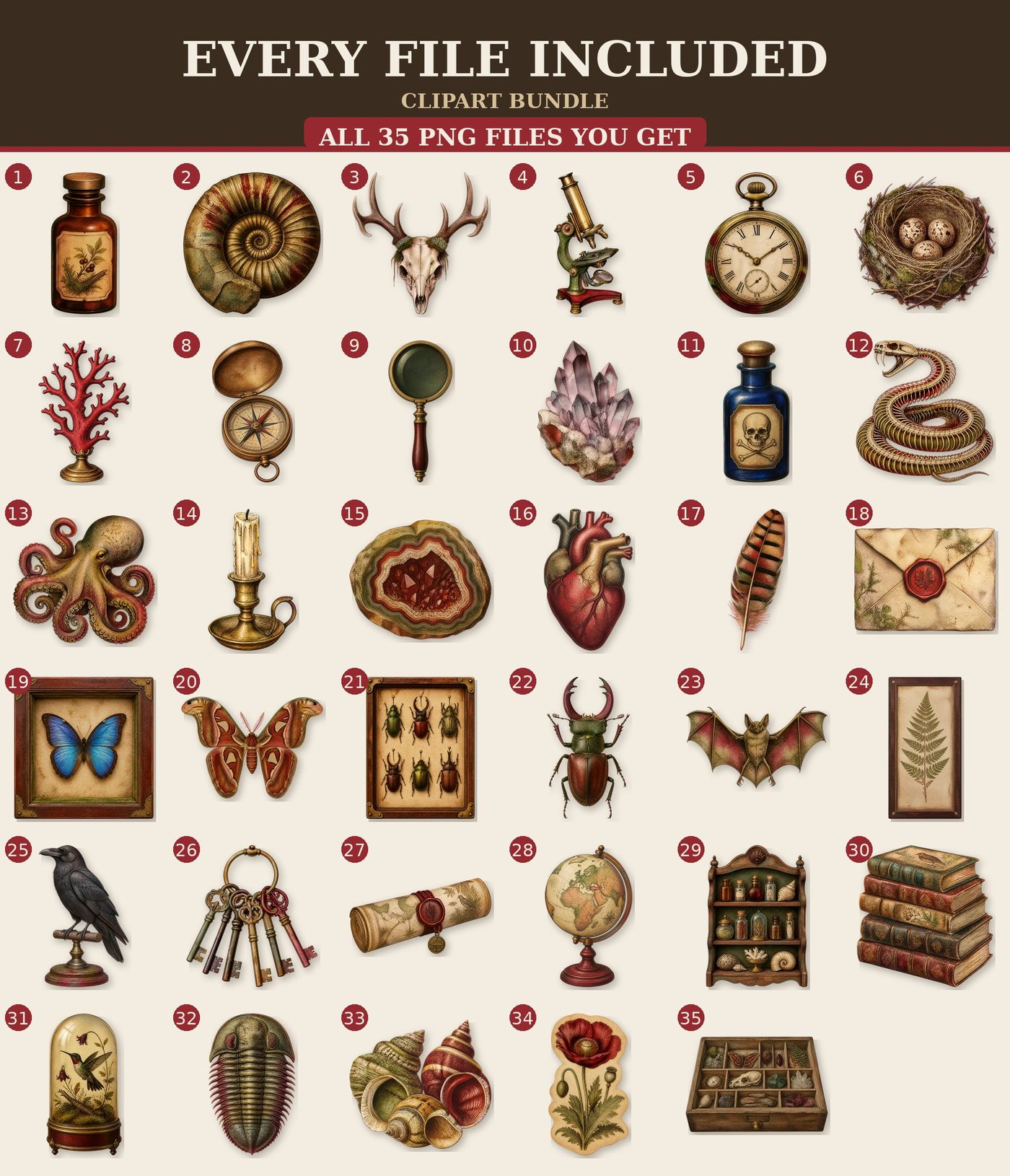 Cabinet of Curiosities — All files