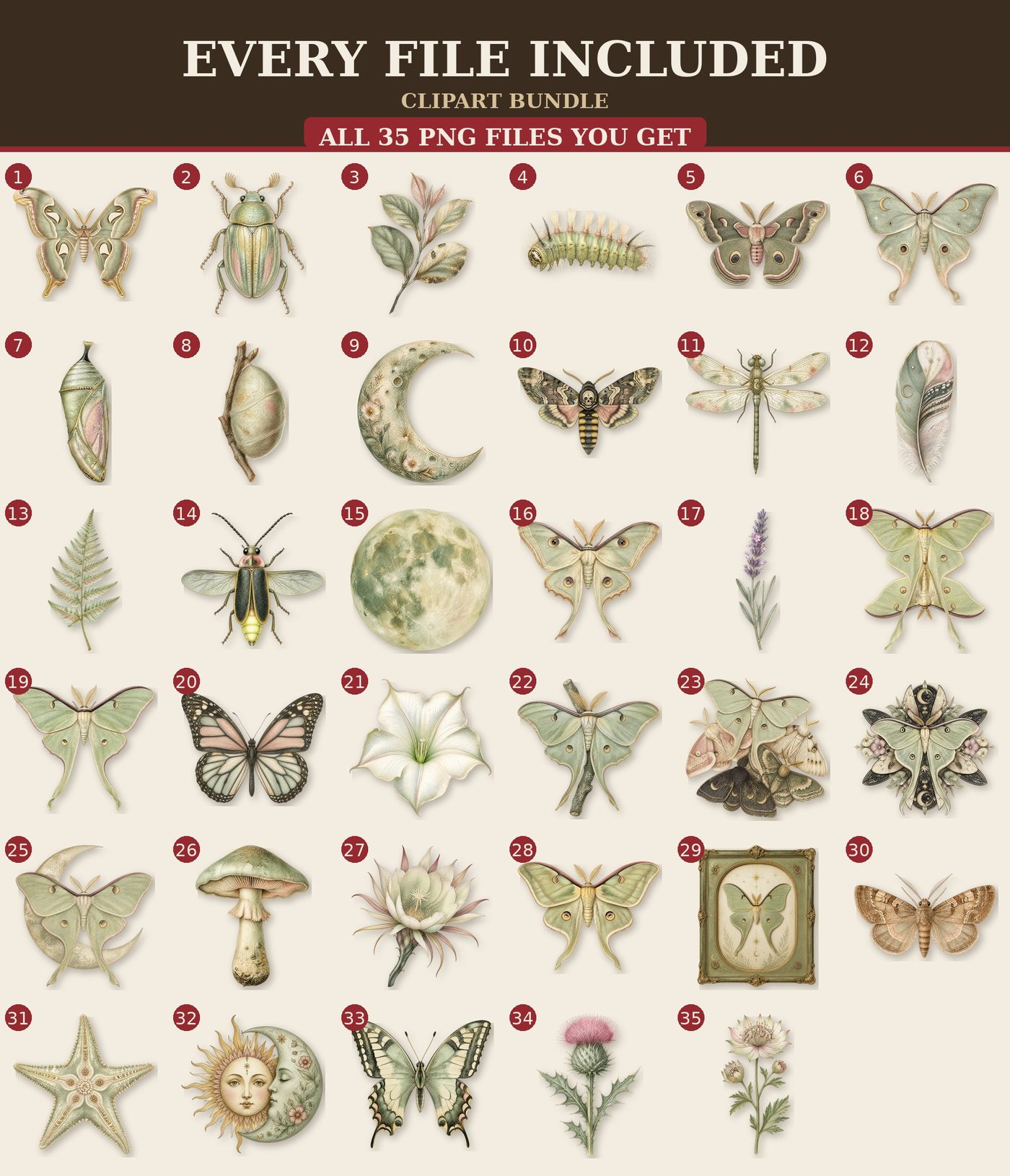 Luna Moth — All files